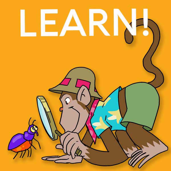 LEARN Canopy